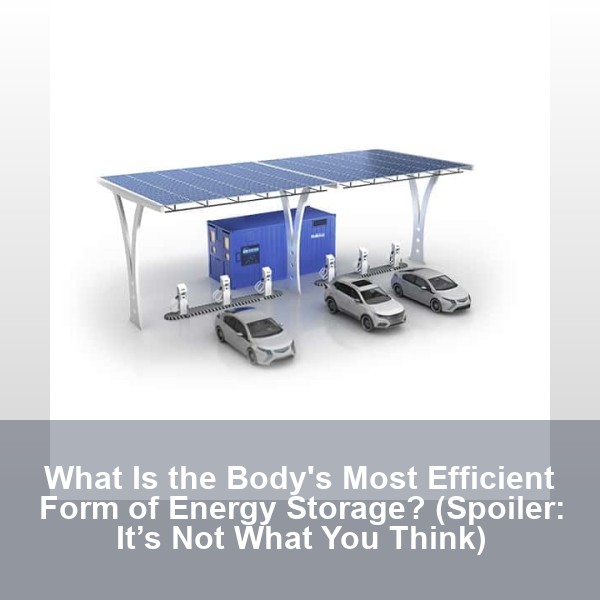What Is the Body's Most Efficient Form of Energy Storage? (Spoiler: It’s Not What You Think)